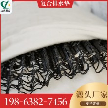 長絲復(fù)合排水網(wǎng)排水帶，波型三維復(fù)合排水網(wǎng)隧道用W型排水網(wǎng)墊